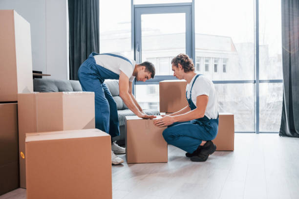 mover-and-packers-in-dubai
