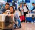 Moving with Pets 1